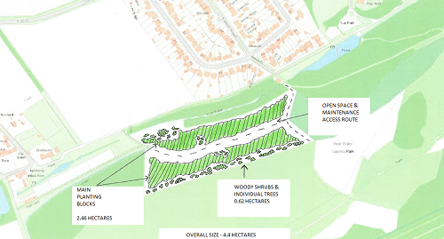 Vicardale plan showing new tree planting joining up two existing woodlands to create a wildlife corridor
